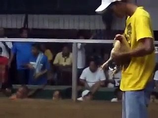 ANGRYBIRDS GAMEFARM..TIAONG QUEZON..31