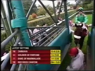 凱旋門賞 2008 ザルカヴァ Zarkava メイショウサムソン10着