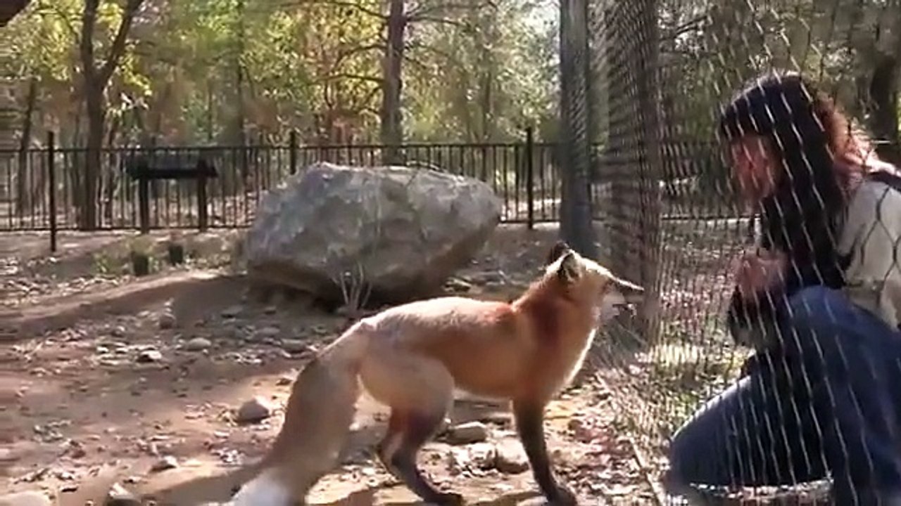 Funny video hahahahaha