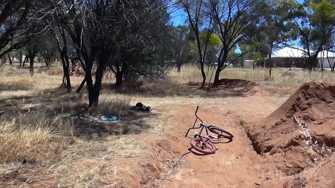 funny videos