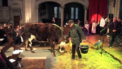 Making of "Fais pas ci, Fais pas ça" - Saison 3 (L'Esprit de Noel)