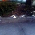 DOZENS Of White Rats Run Wild In Manhattan Park