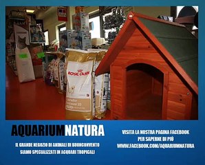 Aquarium Natura, il grande negozio di animali e acquari a Buonconvento (SIENA)