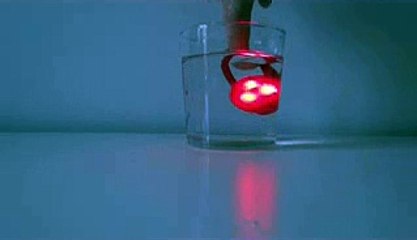 Woufki led waterproof, collier lumineux chien et chat