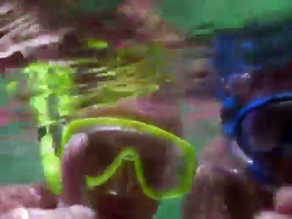 Schnorcheln in Thailand Koh Samui Ko Samui Chaweng tauchen dive Coral beach oder Thongtakian bay