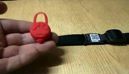 demonstration fonctionnement woufki led, collier lumineux chien chat