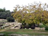 Olympia, Griekenland - De bakermat van de Olympische Spelen