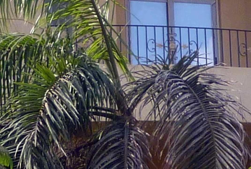 فيلا   الحي الاول   القاهرة الجديدة
