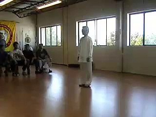 Simplified 24 Form Tai Chi (slow & low style)