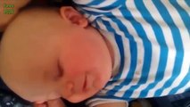Funny Cute Babies Laughing When Sleeping Compilation 2014   New Baby Laughs