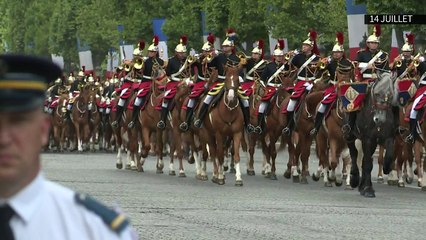 AFP - Le JT, 1ère édition du mardi 14 juillet