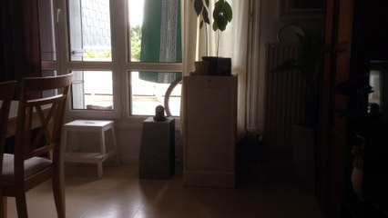 Enregistrement mobile du 14 juil. 2015