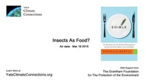 Insects As Food?