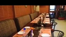 Review of Punjabi Nation , Chennai | Restaurants- North Indian - Chinese  | askme.com
