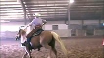 Gus - palomino quarter horse gelding