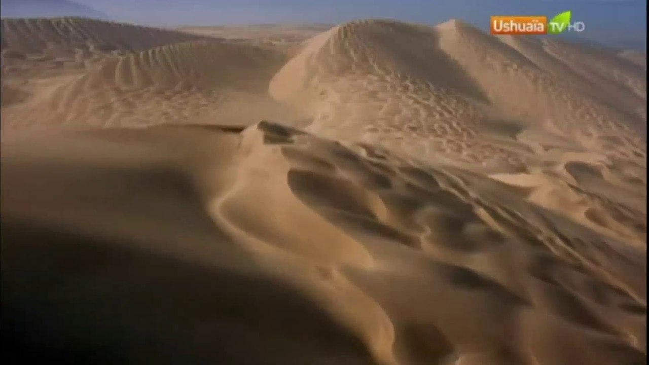 Planète Terre, aux origines de la vie - Saison 1 - EP 04/13 - Les déserts