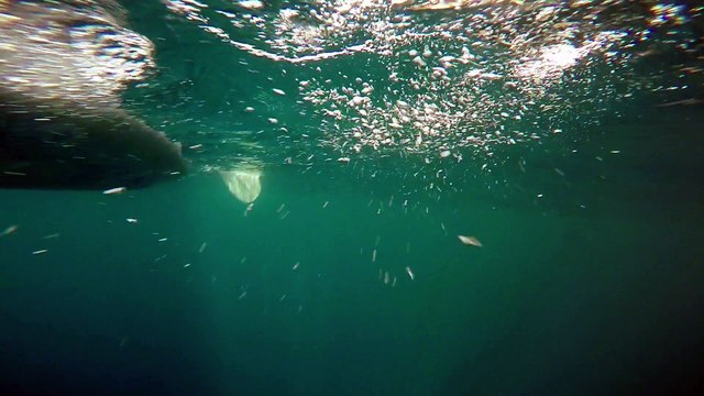 Cassis les calanques - juillet 2015