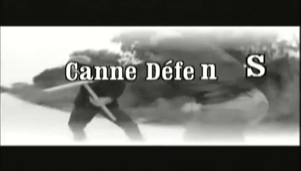 CANNE DEFENSE MASTER LEVINET