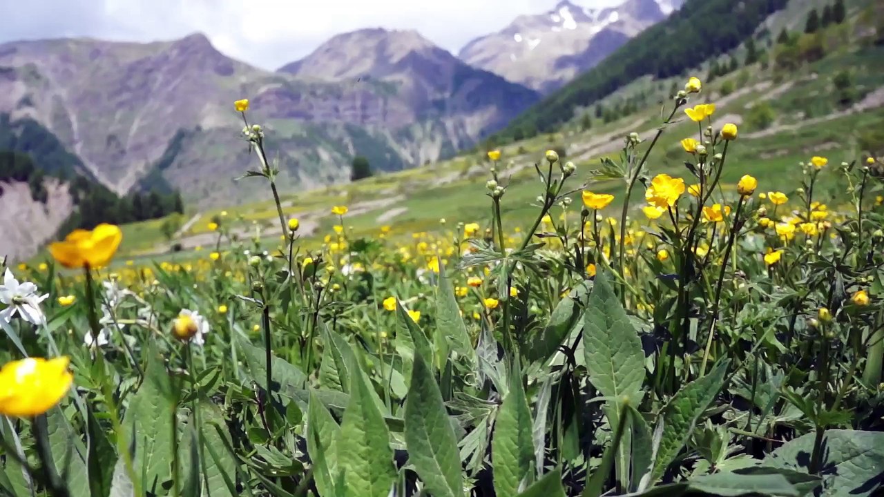 Parapic - le saut du Laire - mai 2015