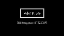 Whit K. Lee - Animation Voice Over Clips