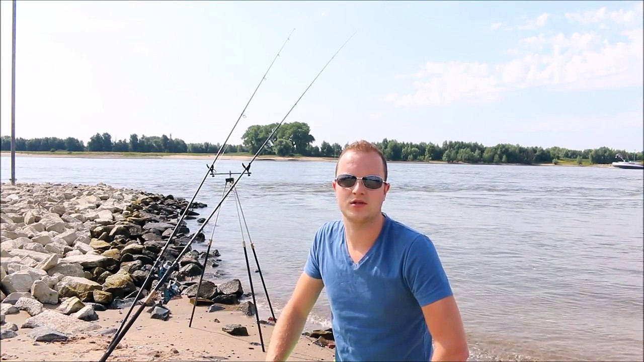 Barbeel vissen rivier de Waal met aanbeet (barbel fishing)