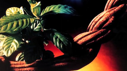 União do Vegetal - Entrevista Jornalista Alberto Prado