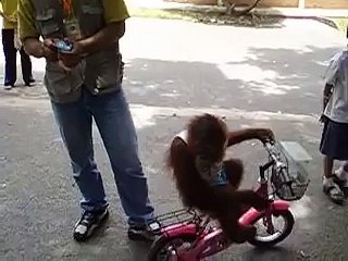 This is My Milk Get Your Own!