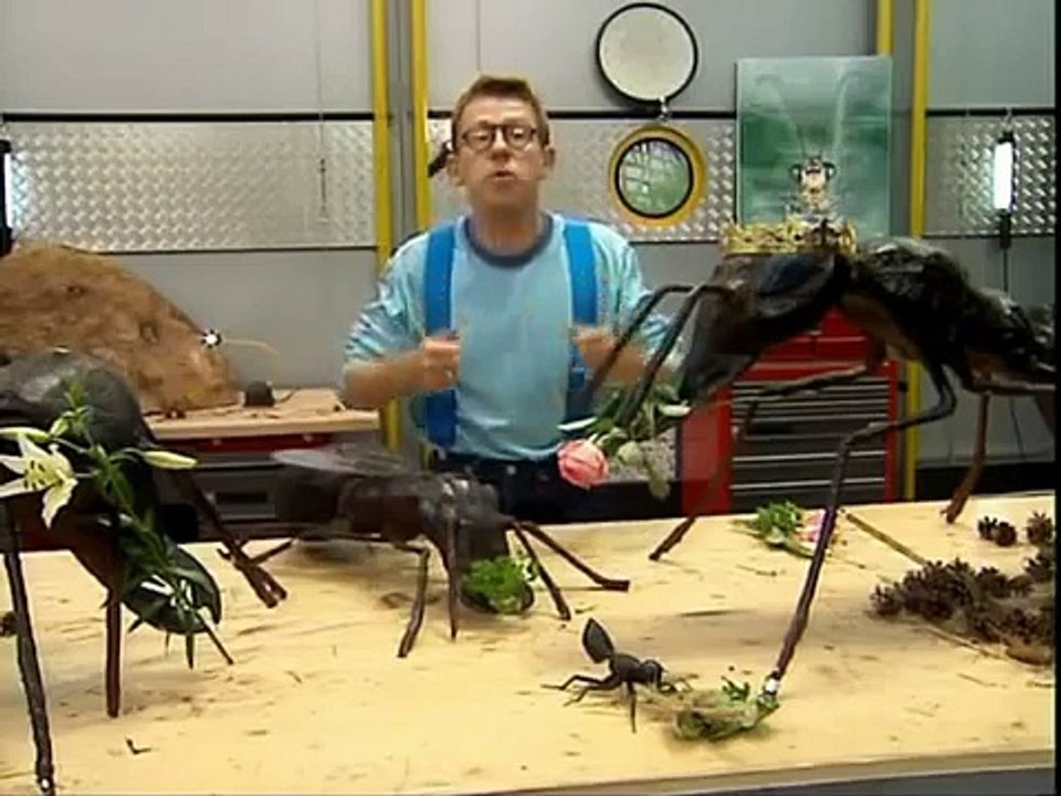C'Est Pas Sorcier - Fourmis Formidables.avi