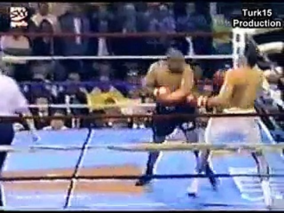 Top 10 Most Brutal Knockouts Ever