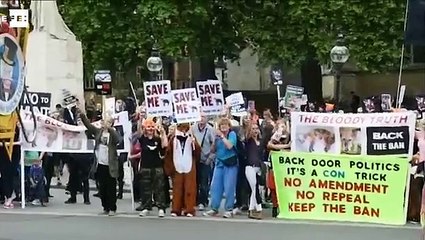 Cientos de personas se disfrazaron de zorros para protestar contra la cacería