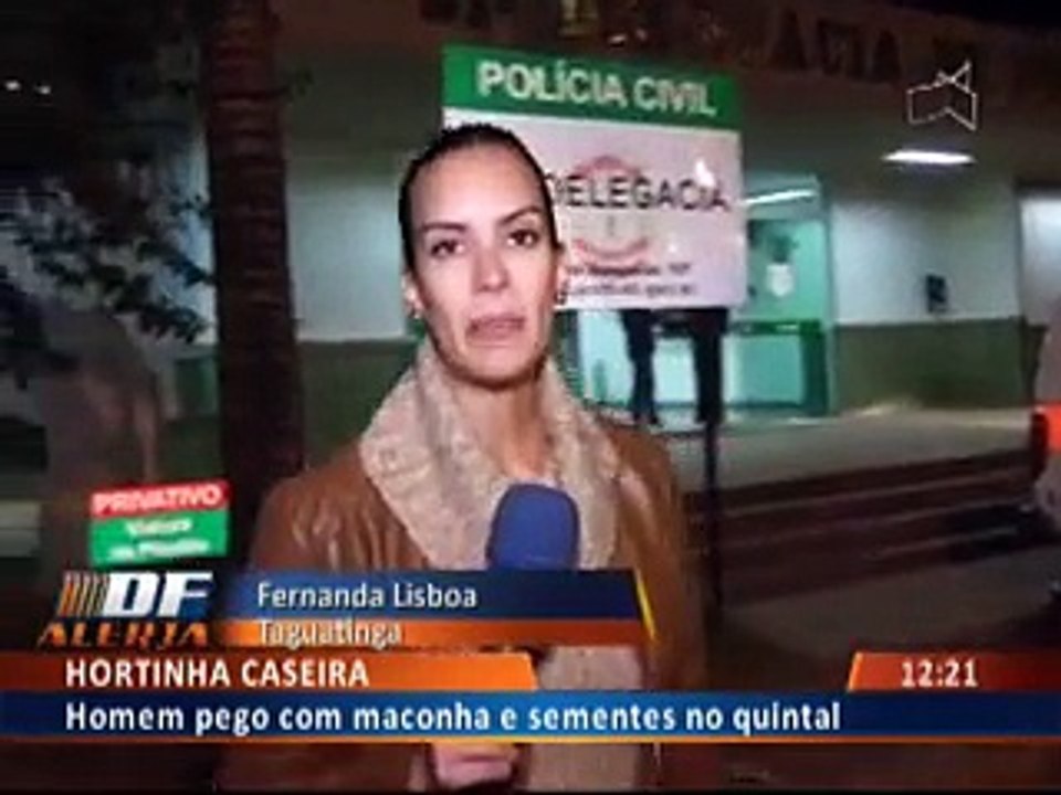 Hortinha caseira