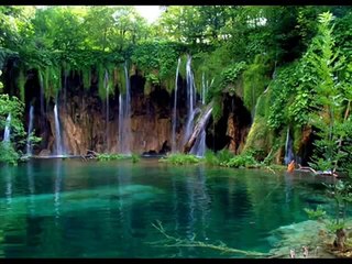 اجمل صوت قران كريم في الدنيا وربي روعه استمعو