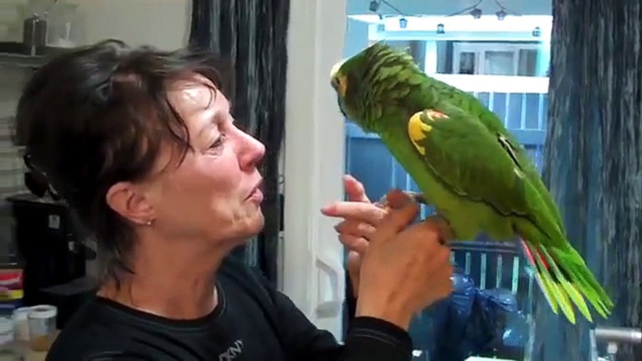 Parrot talks and gets sassy with grandma