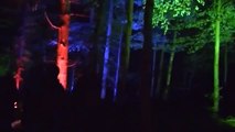 Enchanted Forest, Autumn Light Show in Pitlochry 2012