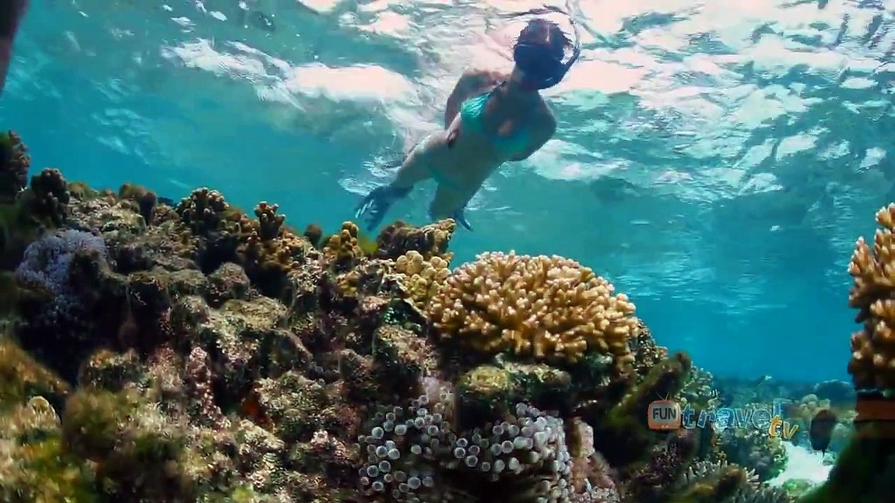 Great Barrier Reef Snorkelling Lady Elliot Island Queensland Australia