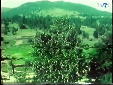 Tradiţii de Sânziene (Drăgaica) în Borşa, Maramureş (@TVR1)[ExtremlymTorrents]