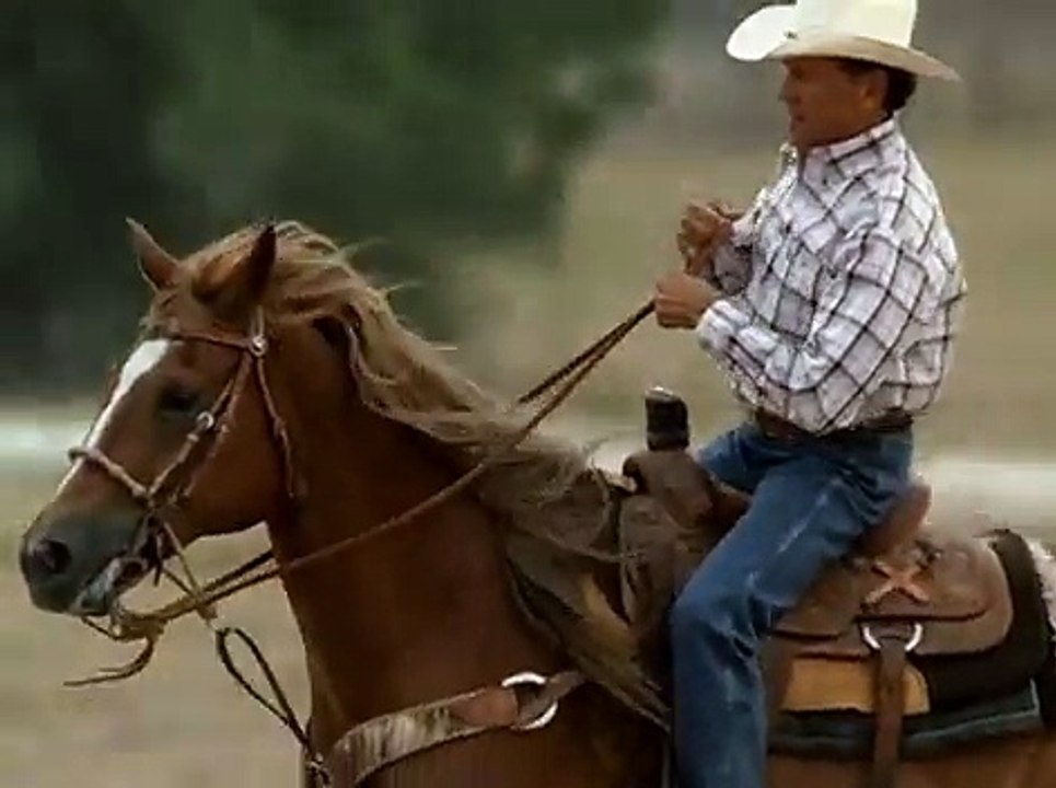 George Strait - Troubadour