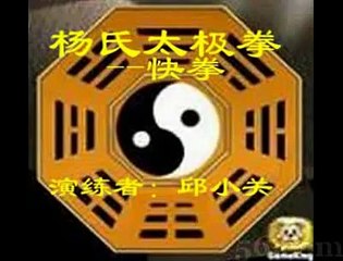 Yang taichi Fast form Nui Chunming Style