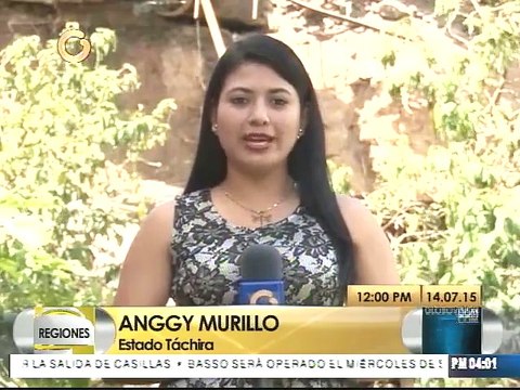 20 afectados por deslizamientos de tierras en Táchira