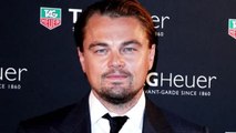 Leonardo DiCaprio's $15 Million Donation