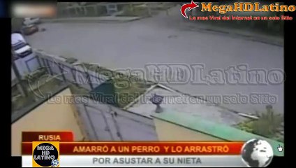Amarro a un perro a su auto y lo arrastro por las calles