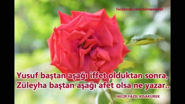 Mevlana Sözleri Eşliğinde Ney Dinletisi - Gönül Söz Dinlemez