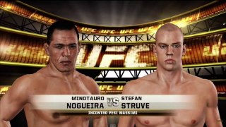 UFC 190 Minotauro Nogueiro vs Stefan 