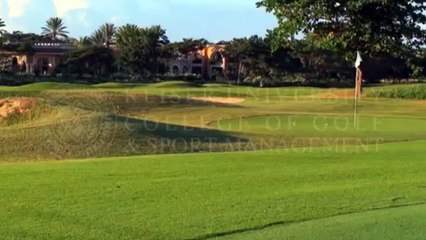 College of Golf - Jeffrey Stone