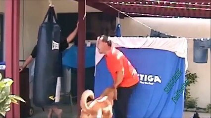 Extreme XXX Prank Gone wrong - Funny Prank/Win/Fail compilation - Funny Animal Clips