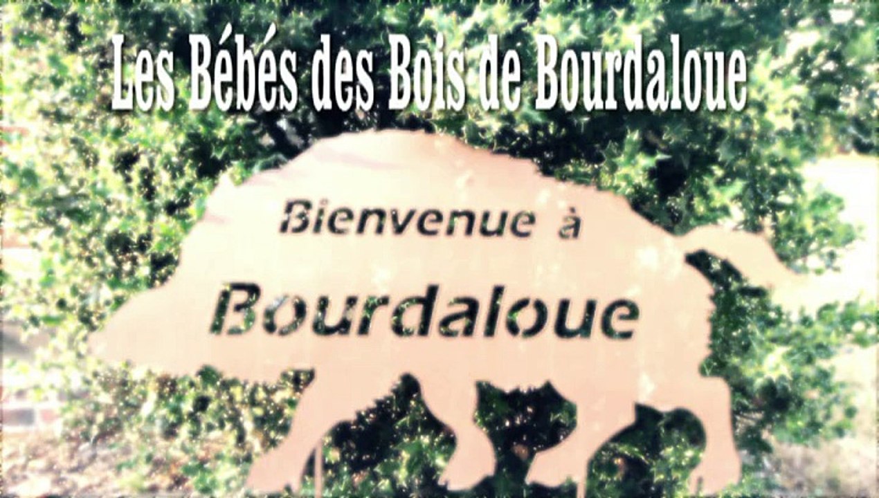 Les bébés de Bourdaloue