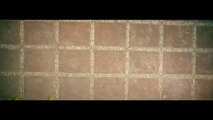 2 Many Girls HD Full Video Song [2015] Fazilpuria, Badshah - Video Dailymotion