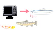 How does a Fish Finder work? | Fishfinder-store.com