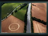 Two new Twin Crop Circles 