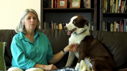 Jack loves Freshpet all natural, healthy dog food